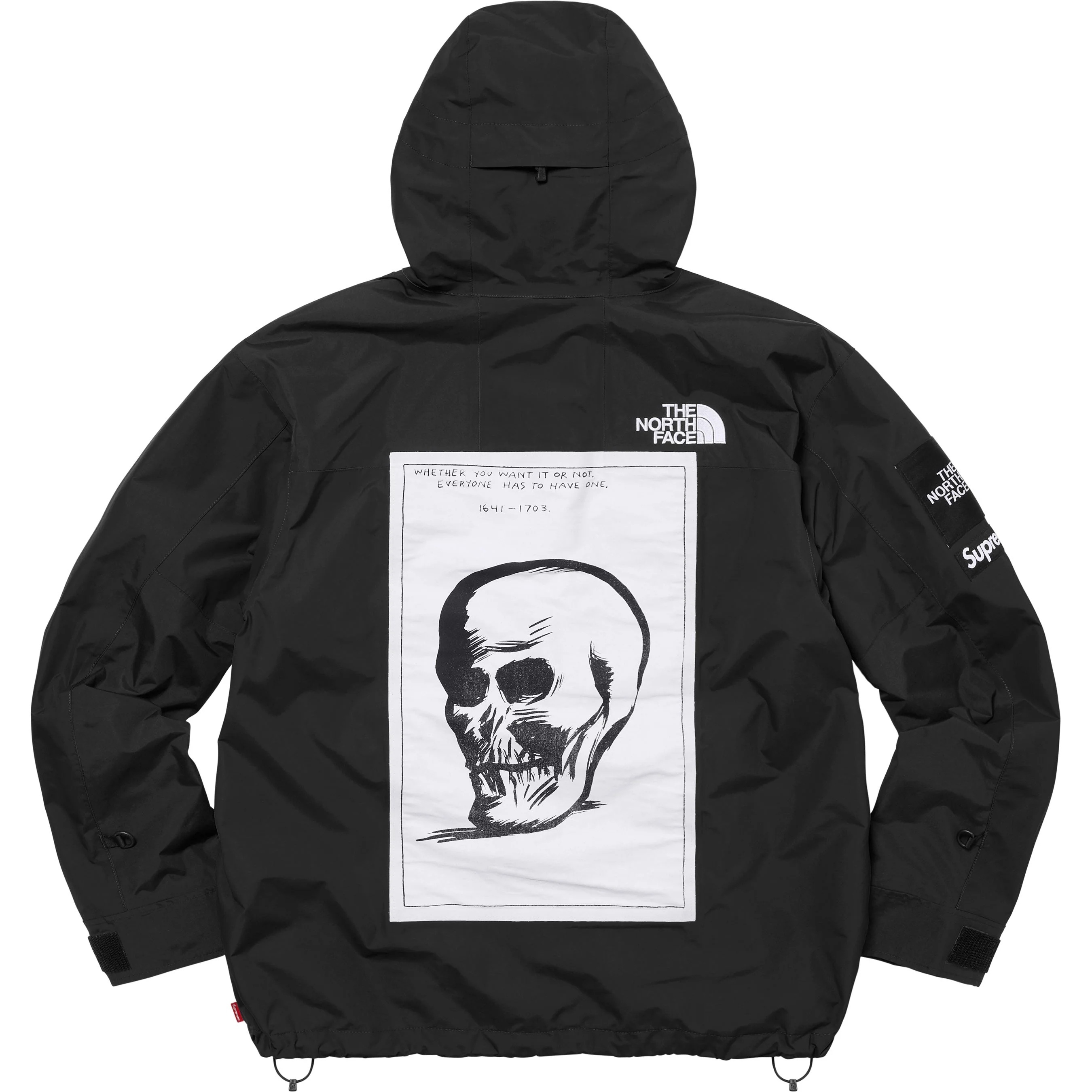 Supreme®/The North Face® Mountain Jacket view 11